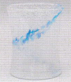 neko